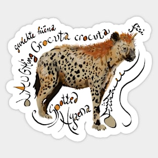 Spotted Hyaena Sticker